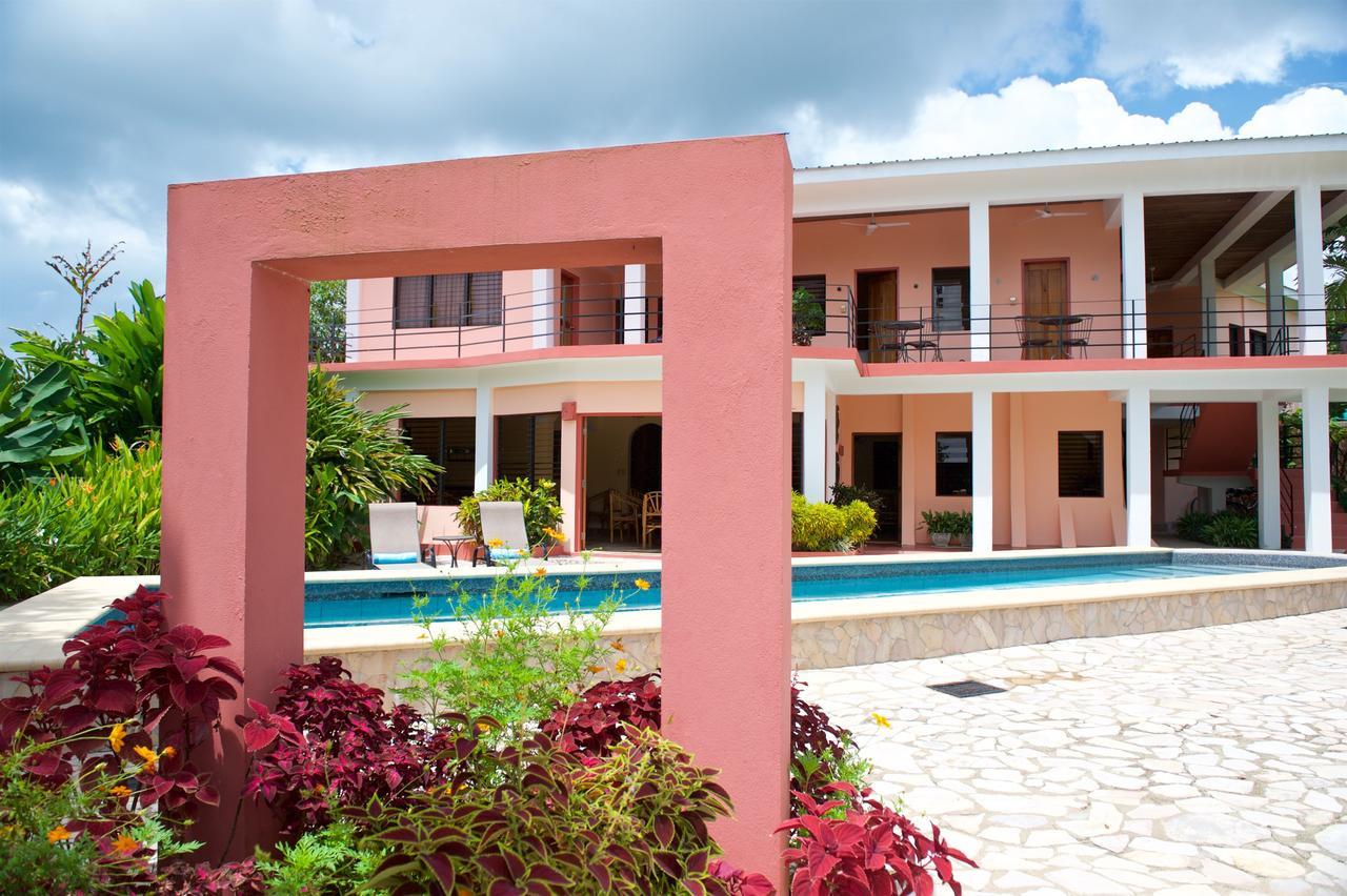 Bed and Breakfast Coral House Punta Gorda Exterior foto