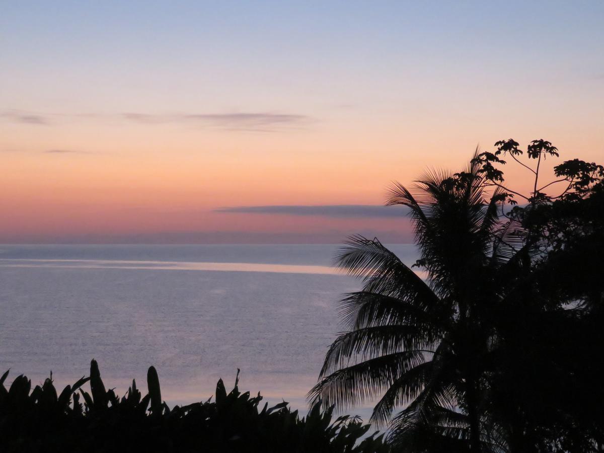 Bed and Breakfast Coral House Punta Gorda Exterior foto
