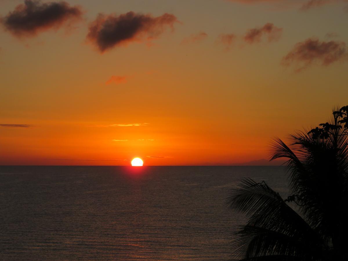 Bed and Breakfast Coral House Punta Gorda Exterior foto